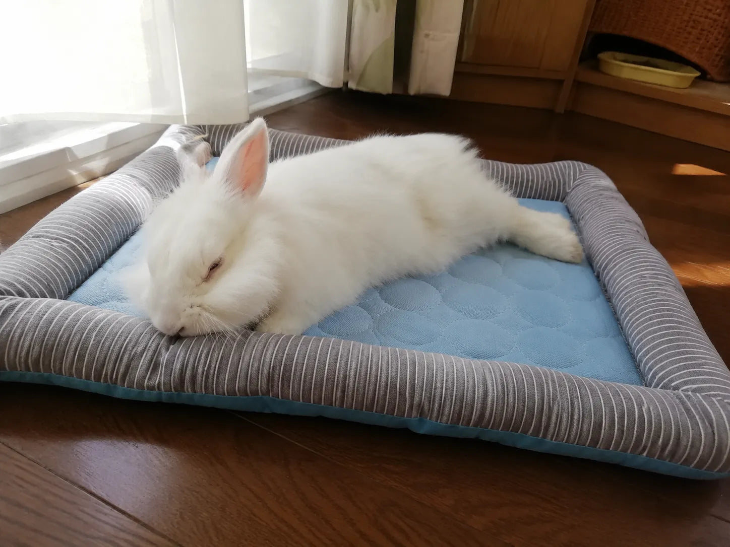 lynadora