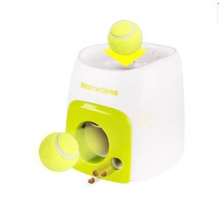 Automatic Pet Training And Feeding System Main Image
